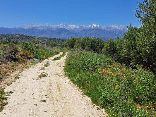 WhatsApp Image 2026-03-16 at 13.41.18 (2).jpeg