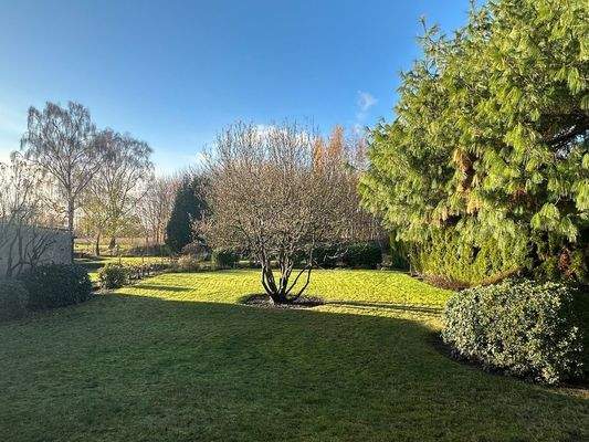 Blick in den schönen Garten