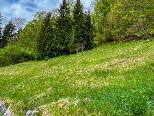 Raiffeisen_Immobilien_Hanggrundstück Mariastein (6)