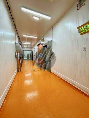 INFOS UNTER: 06171-586000