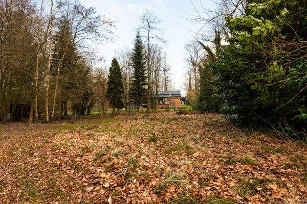 Brandt-Immobilien-Hesedorf10. März 202627432-8.jpg