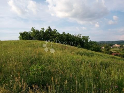 Nova Ljeskovica Bauernhöfe, Landwirtschaft, Nova Ljeskovica Forstwirtschaft