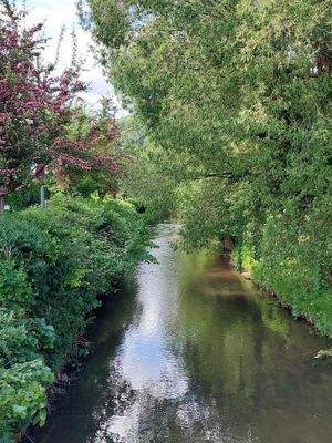 Garten unmittelbar am Schwarzbach