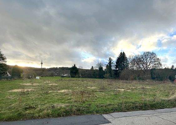 tolles und großes Baugrundstück