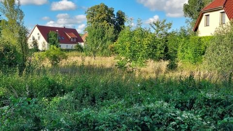 Woldegk Grundstücke, Woldegk Grundstück kaufen