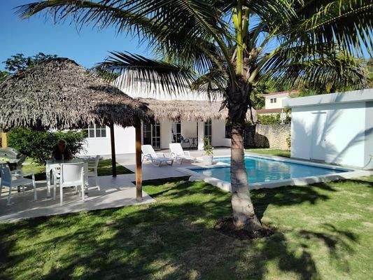 Sonnenschutz dank Palme