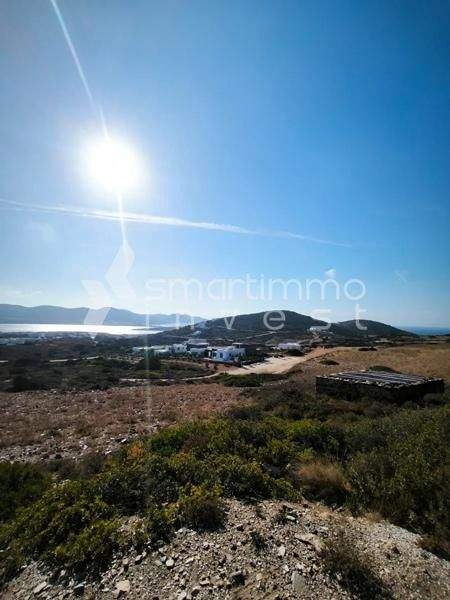 Agios Georgios, Antiparos Bauernhöfe, Landwirtschaft, Agios Georgios, Antiparos Forstwirtschaft