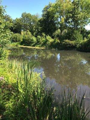 Teilansicht Weiher