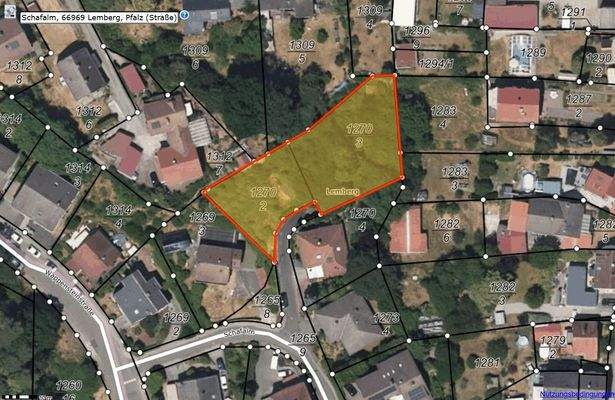 Lageplan-Topo_1270-2_1270-3_Lemberg_Schafalm 12-14