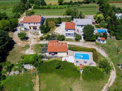 Zminj Bauernhöfe, Landwirtschaft, Zminj Forstwirtschaft