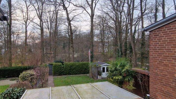 Blick vom Obergeschoss in Richtung Wald