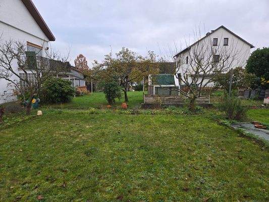 Garten / Baugrundstück