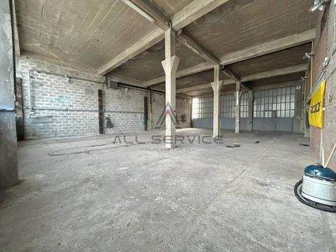 Sveta Nedelja Halle, Sveta Nedelja Hallenfläche