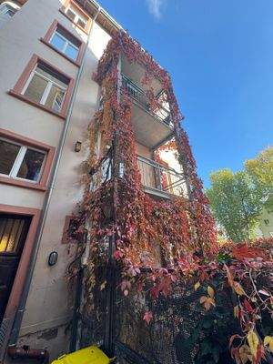 Rückansicht mit Balkonen