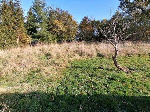 Döbeln Grundstücke, Döbeln Grundstück kaufen