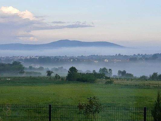 3670d33e-310f-466a-9cc0-55e5b01779d4