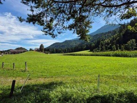 Berg im Drautal Grundstücke, Berg im Drautal Grundstück kaufen