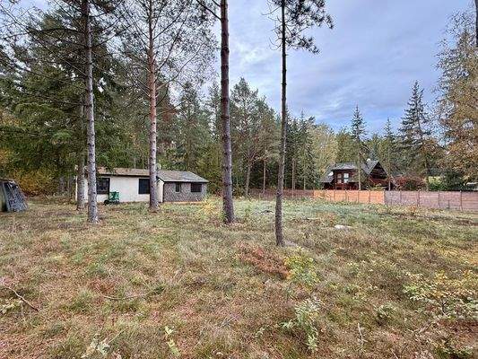 Baufeld und Altbestand