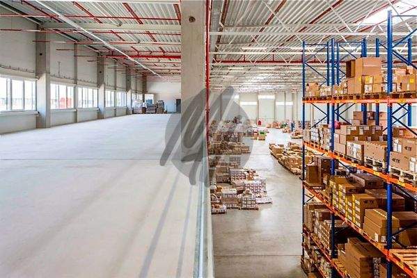 INFOS UNTER: 06171-586000