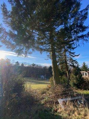 Baugrund Ölsnitzer LS 11 (11).jpeg