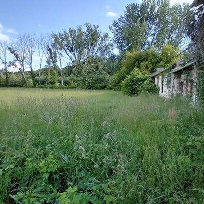 20250513_175114 (1).jpg