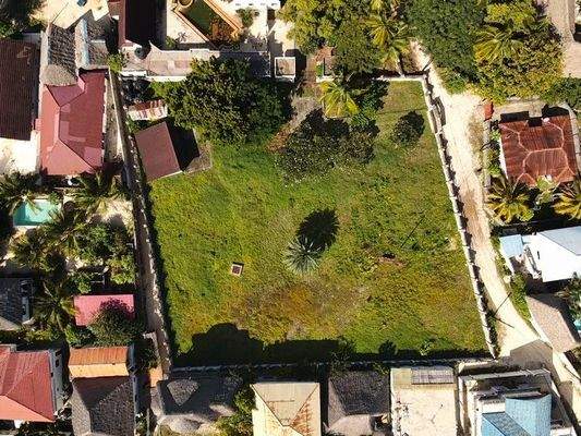 Villa in Paje garden.jpg