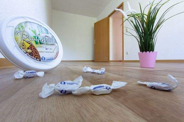 web 1094-0014 Pappelallee 22_4li_Juli20-8.jpg