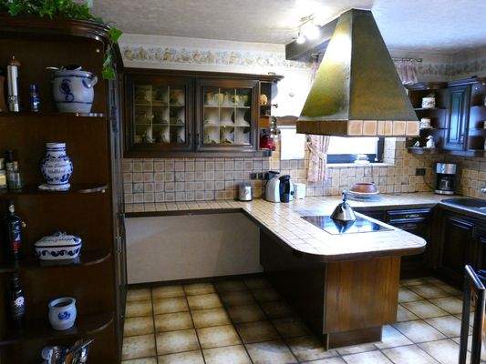 Wohnküche mit Kochinsel