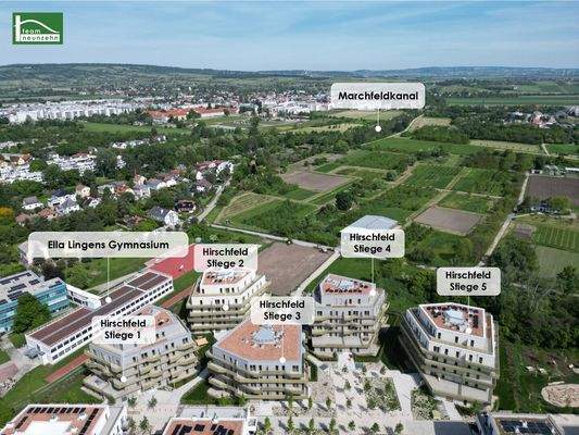 Bild 20