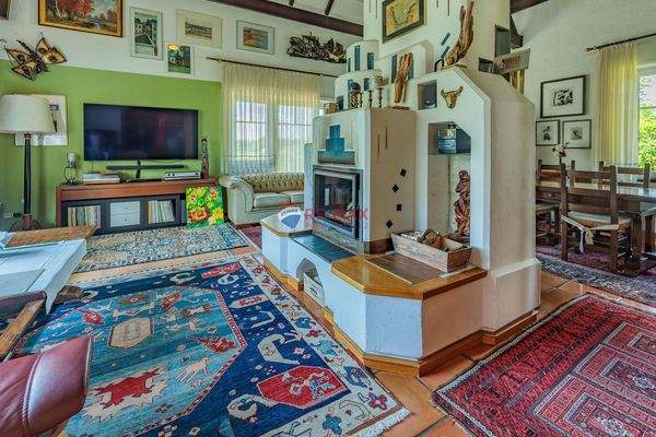 Wohnzimmer Kamin