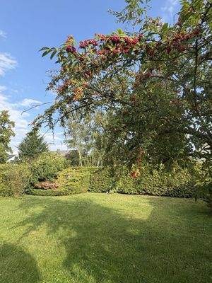Großzügiger Garten
