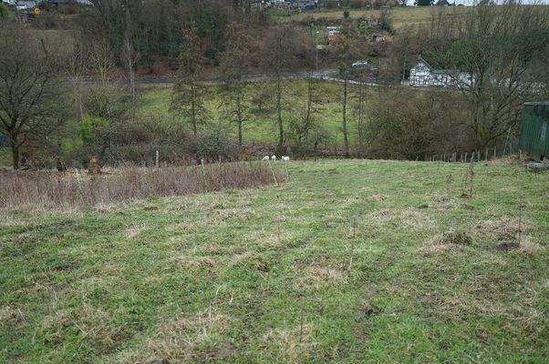 Hangblick Richtung Süden