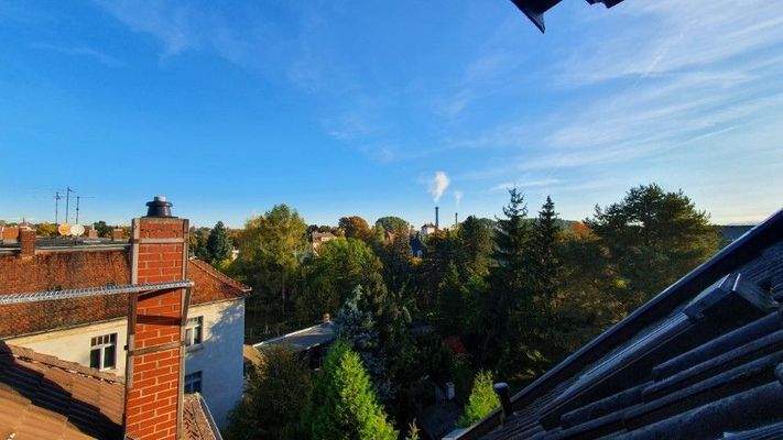 20221007_084012 (Klein)