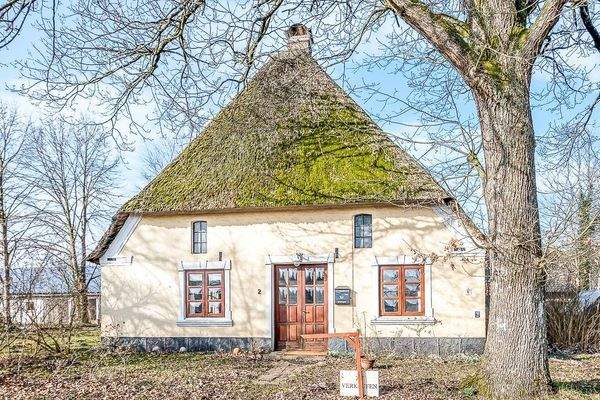 Ostansicht mit Eingang zur Einliegerwohnung