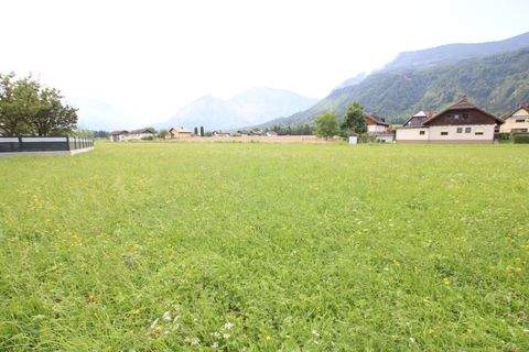 Kirschentheuer Bauernhöfe, Landwirtschaft, Kirschentheuer Forstwirtschaft