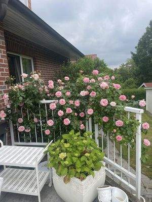 Gartenblick_von_der_Terasse