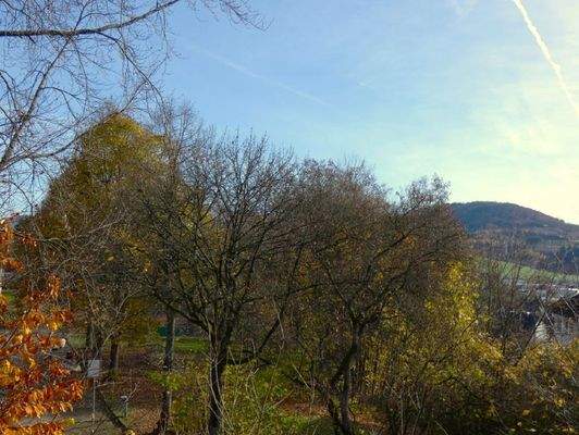 Blick Richtung Wilzenberg