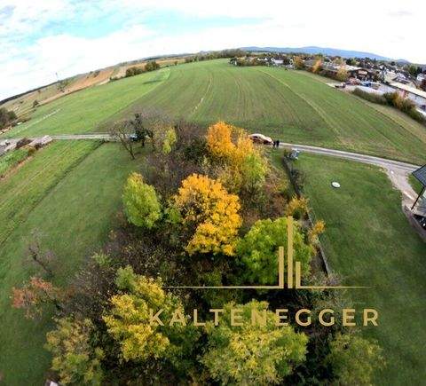 Würflach Grundstücke, Würflach Grundstück kaufen