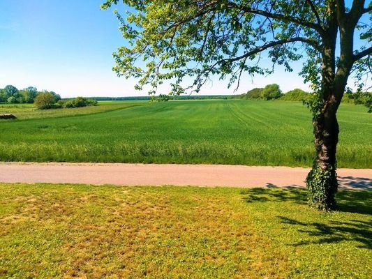 Ausblick von den Scheunen