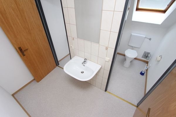 WC_DG.jpeg