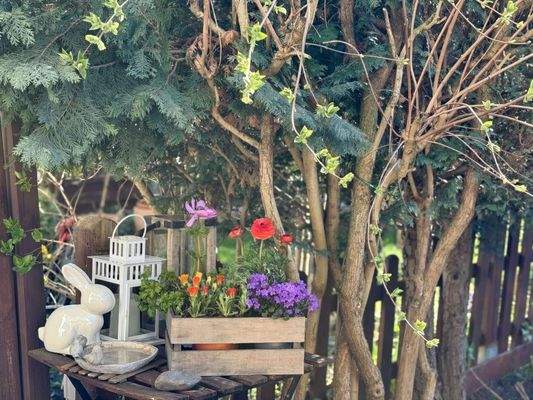 liebevoll gestalteter Garten