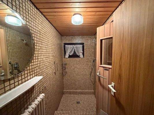 Sauna und Dusche UG