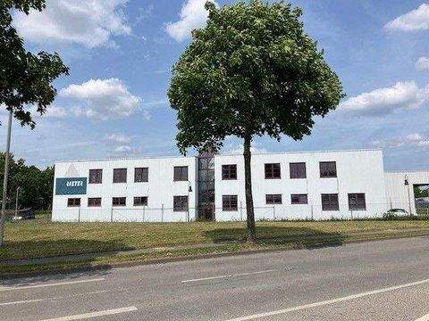 Heinsberg Halle, Heinsberg Hallenfläche