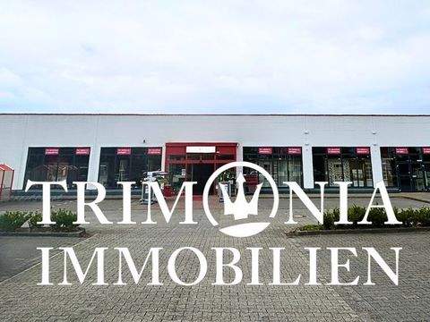 Münster Ladenlokale, Ladenflächen 