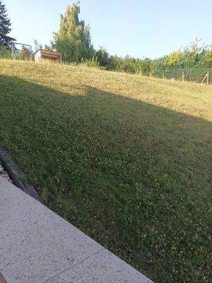 Baugrundstück Bild 2