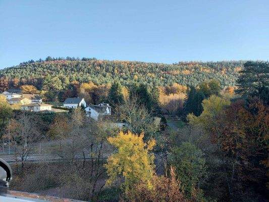Ausblick aus dem Dachfenster
