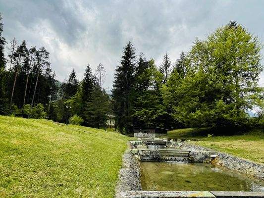 Bild 8