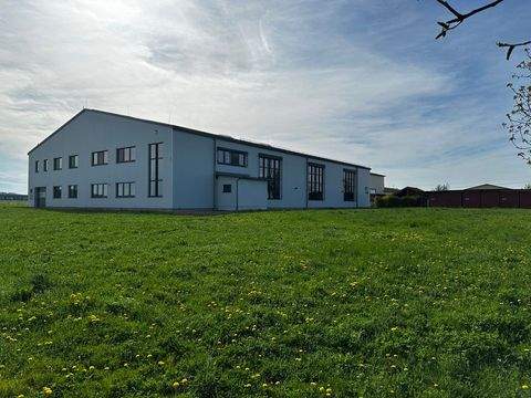 Niederstetten Halle, Niederstetten Hallenfläche