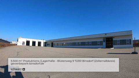 Geislingen Halle, Geislingen Hallenfläche