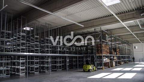 Düsseldorf Halle, Düsseldorf Hallenfläche